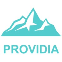 ProvidiaAI logo - Similar company to Prodvigate
