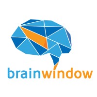 Brain Window logo - Similar company to Colmena Technologies S. A.