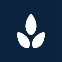 Moncel logo - Similar company to Angus Systems