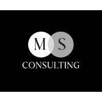 MS Consulting logo - Similar company to Ms Consulting