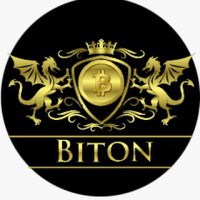Biton Group logo - Similar company to Liimrasoft Solutions Llc