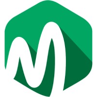 MEKONGNET CO.,LTD logo - Similar company to Rmo Technologies