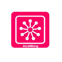 dzlooking logo - Similar company to Tarif Holding