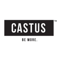 CASTUS logo - Similar company to Reverseads