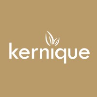 kernique logo - Similar company to David Siemers Webdesign