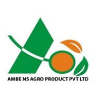 Ambe NS Agro Products Pvt Ltd logo - Similar company to Microsol Technologies