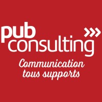 Pub Consulting logo - Similar company to Ng Design
