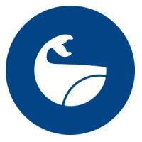Adorca.com logo - Similar company to First Click Media Ltd