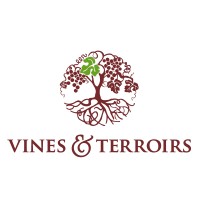 Vines & Terroirs Ltd logo - Similar company to Divino Group Ltd.