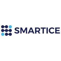 SMARTICEGLOBAL logo - Similar company to Vizmo