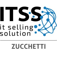 IT Selling Solution srl logo - Similar company to Ausint Tech
