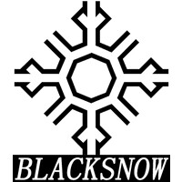 Black Snow Oilwell Machinary Co. Ltd. logo - Similar company to Black Snow