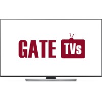 GateTVs logo - Similar company to In Record Time