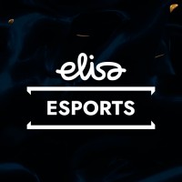 Elisa Esports logo - Similar company to Havu Gaming Oy
