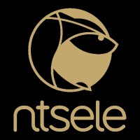 NTSELE GLOBAL (PTY) LTD. logo - Similar company to Ceos Technologies (Pty) Ltd
