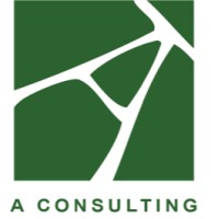 A Consulting Venice logo - Similar company to Divulgarti