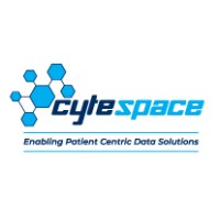 Cytespace logo - Similar company to Auditvantage Solutions