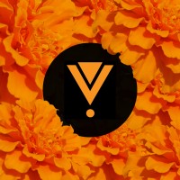 V! Studios logo - Similar company to Koansys