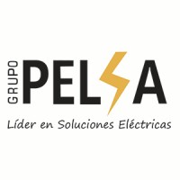 PELSA - Proveedora Eléctrica El Salvador logo - Similar company to Data Graphics