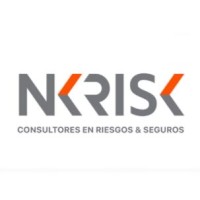 Norfolk Consulting Group logo - Similar company to Nk Risk