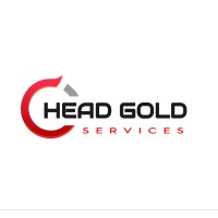 HEADGOLD SERVICE SPA logo - Similar company to Distribuidora Divalco S.A.