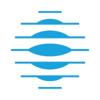 NauSYS logo - Similar company to Itsoft
