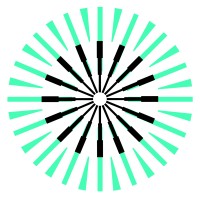 TACT+INVEST logo - Similar company to Wizards Solution