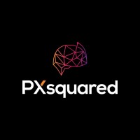 PXsquared logo - Similar company to Invisibleppc