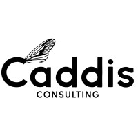 Caddis Consulting logo - Similar company to California Infrastructure Delivery Coalition