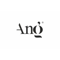 ANG Foundation logo - Similar company to Pesaapps