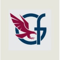 Glorious Falcon logo - Similar company to Falcon.Es