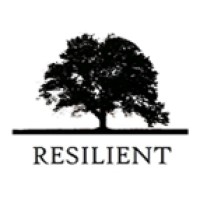 Resilient Investments logo - Similar company to Ailo