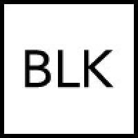 BLKBOX.ai logo - Similar company to Blackbox.Ai