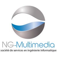 NG-Multimedia logo - Similar company to Netcom