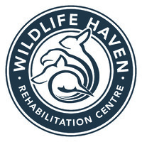Wildlife Haven logo - Similar company to Reframehr