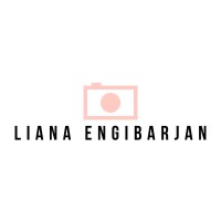 Liana Engibarjan logo - Similar company to Aalborg Maritime & Logistics