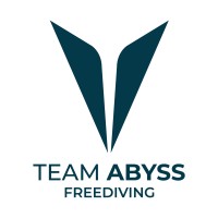 Team Abyss logo - Similar company to Expecto
