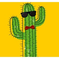 Cool Cactus logo - Similar company to Cool Cactus Events
