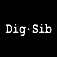 Digital Siberia logo - Similar company to Siberia Digital