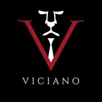Viciano B.V. logo - Similar company to Equipe Adviseurs