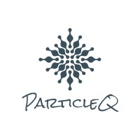 ParticleQ Artificial Intelligence Solutions Pvt. Ltd. logo - Similar company to Study Ai
