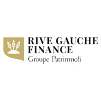 RIVE GAUCHE FINANCE logo - Similar company to Vargo Im