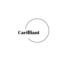 Carilliant Business Services logo - Similar company to Asm Capital Services (P) Ltd.