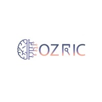 Ozric Technologies logo - Similar company to Datainfosec