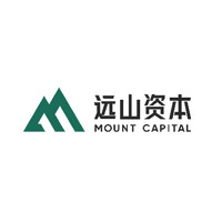 Mount Capital logo - Similar company to Mount Group