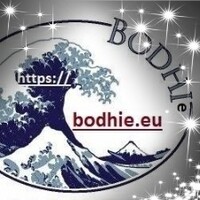 bodhie logo - Similar company to Brillo Solar Pvt Ltd