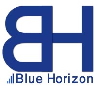 Blue Horizon Digital logo - Similar company to Search Group