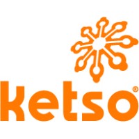 KetsoLtd logo - Similar company to Expert Business Development