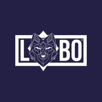LOBO DEL SUR logo - Similar company to Jd Visual | Productora Audiovisual