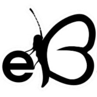 eButterfly logo - Similar company to Brandeq Group
